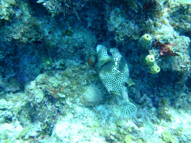 dscf5480.jpg