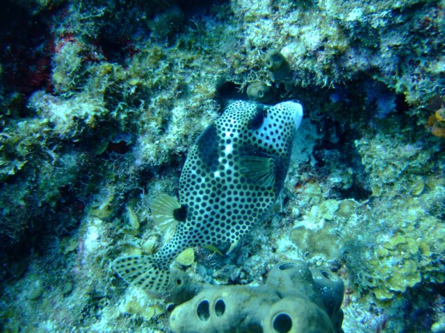 dscf5482.jpg