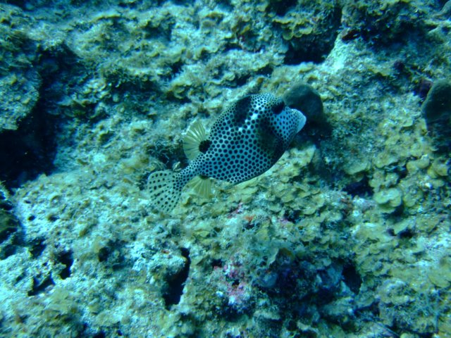 dscf5483.jpg
