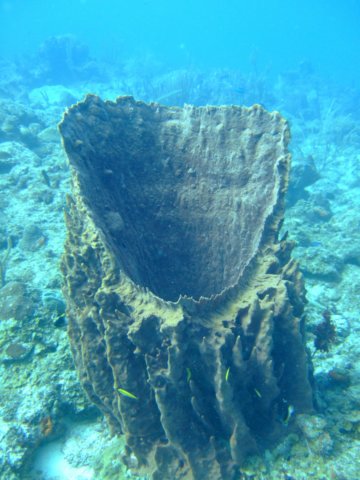 dscf5486.jpg