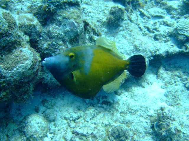 dscf5494.jpg