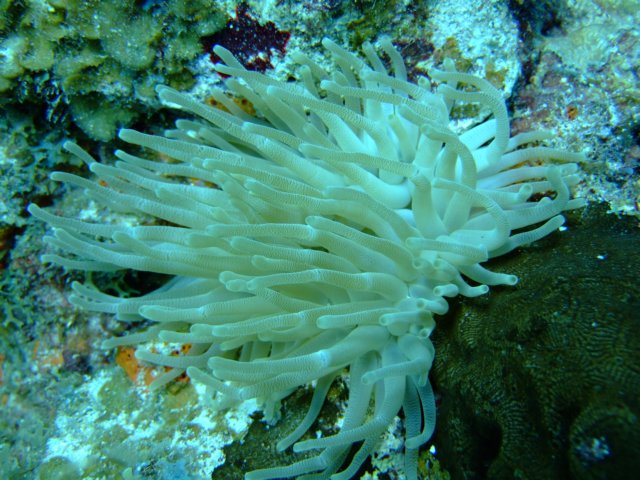 dscf5497.jpg