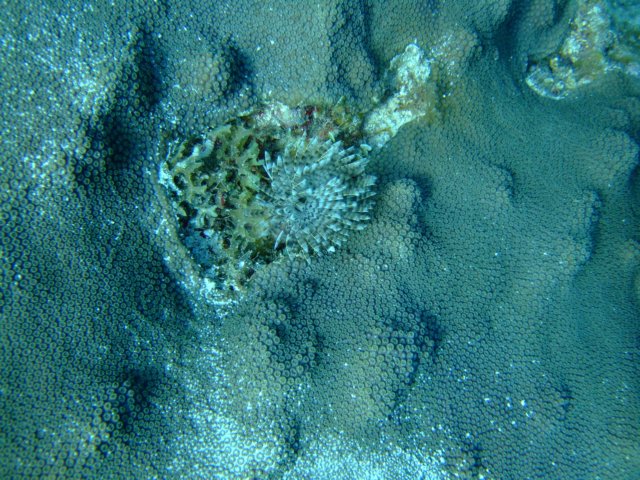 dscf5499.jpg