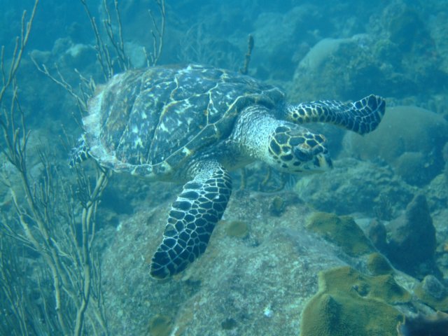 dscf5501.jpg
