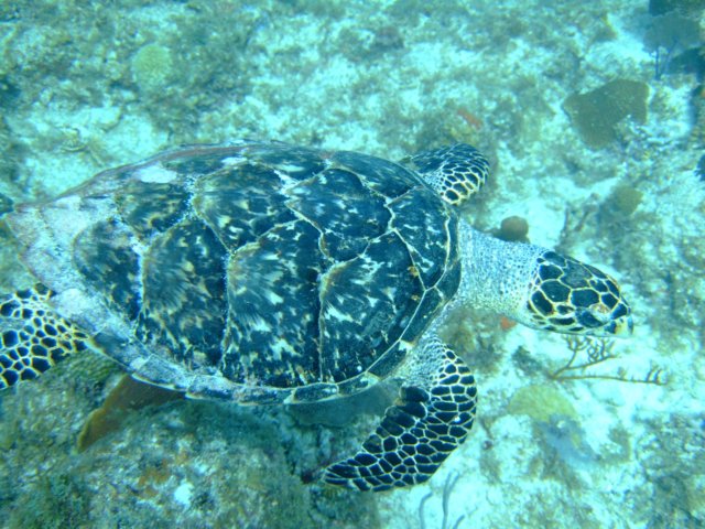 dscf5504.jpg