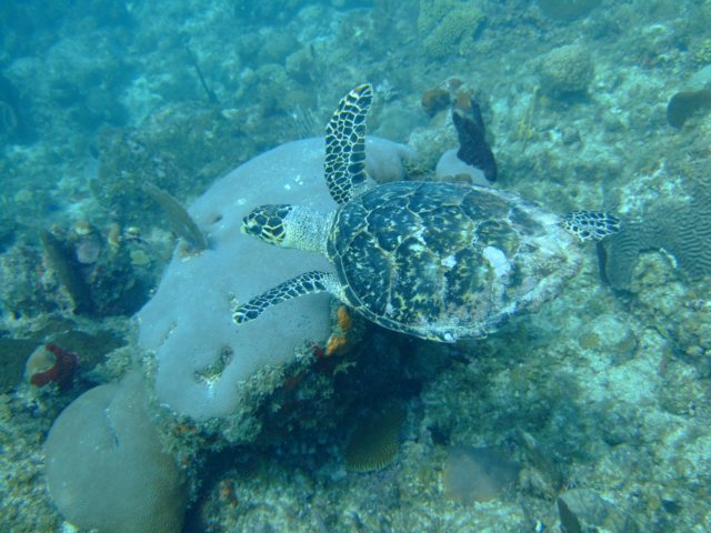 dscf5506.jpg