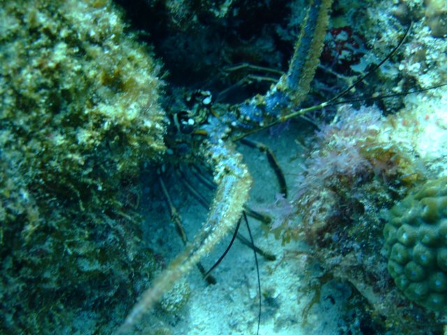 dscf5511.jpg