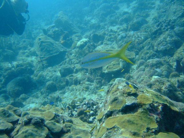 dscf5515.jpg