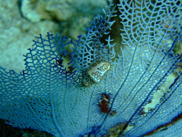 dscf5517.jpg