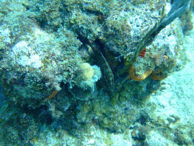 dscf5518.jpg