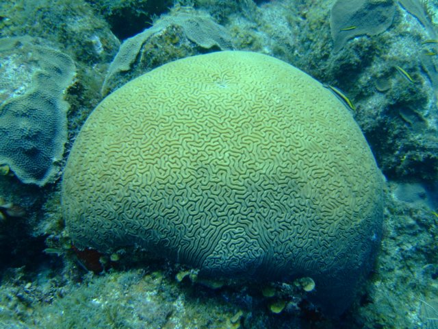 dscf5522.jpg