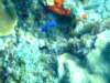 dscf5523_small.jpg