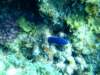 dscf5524_small.jpg