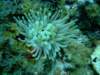 dscf5526_small.jpg