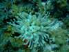 dscf5527_small.jpg