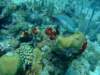 dscf5528_small.jpg