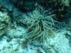 dscf5529_small.jpg