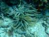 dscf5530_small.jpg