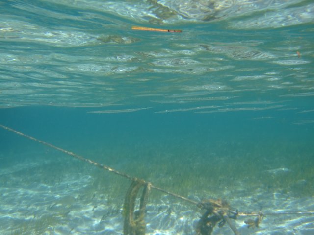 dscf5531.jpg