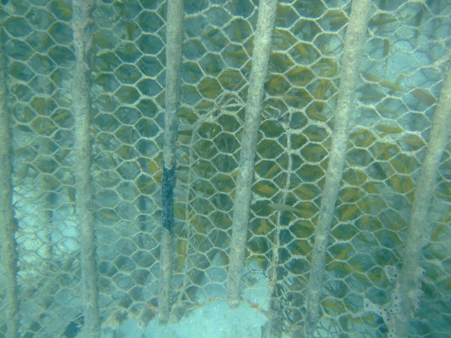 dscf5532.jpg