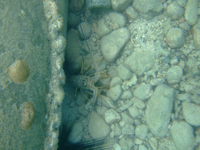 dscf5535.jpg