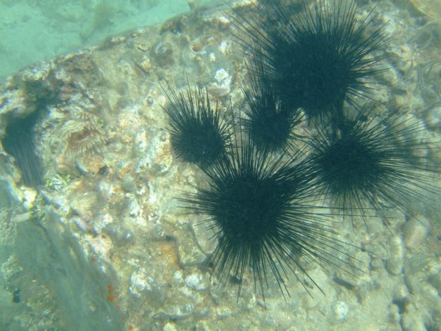 dscf5538.jpg