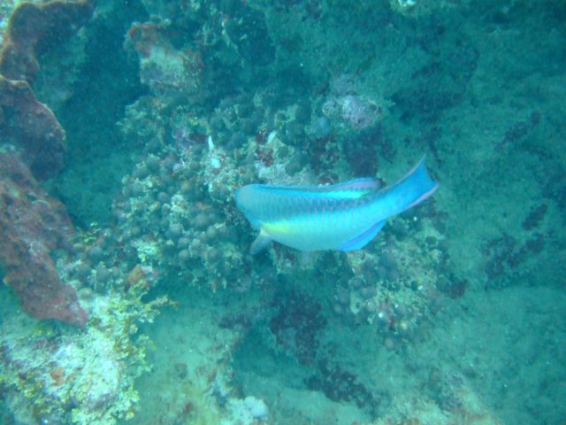 dscf2070.jpg