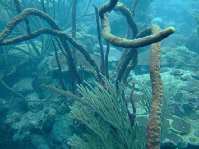 dscf2090.jpg
