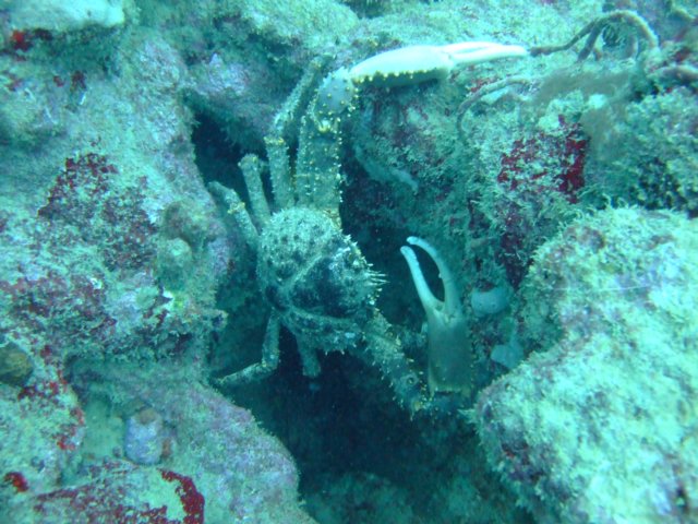 dscf2093.jpg