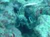 dscf2093_small.jpg