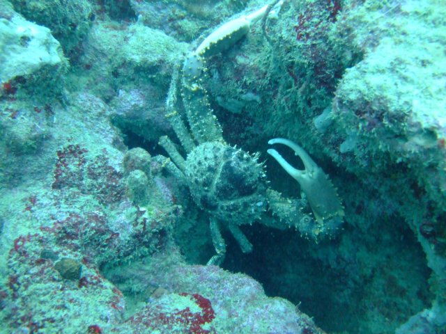 dscf2094.jpg