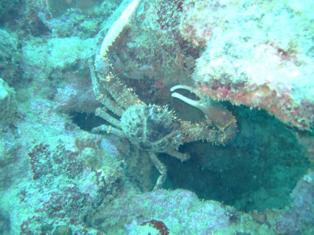 dscf2095.jpg