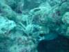 dscf2096_small.jpg