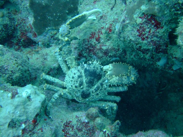 dscf2097.jpg