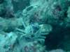 dscf2097_small.jpg