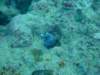 dscf2099_small.jpg