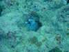dscf2100_small.jpg