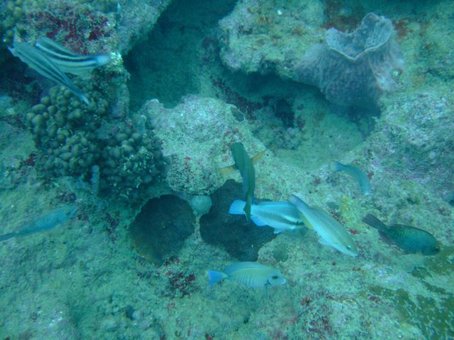 dscf2101.jpg