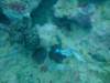 dscf2101_small.jpg