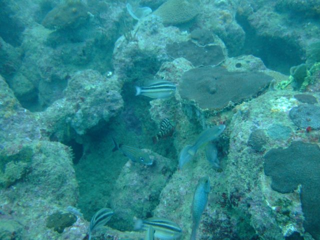 dscf2102.jpg