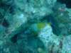 dscf2104_small.jpg