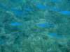 dscf2106_small.jpg