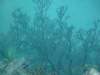 dscf2107_small.jpg