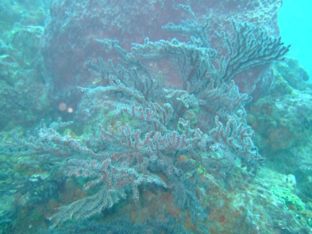 dscf2108.jpg