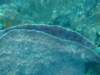 dscf2110_small.jpg