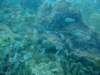 dscf2112_small.jpg