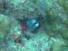 dscf2114_small.jpg