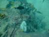 dscf2116_small.jpg