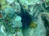 dscf2117_small.jpg