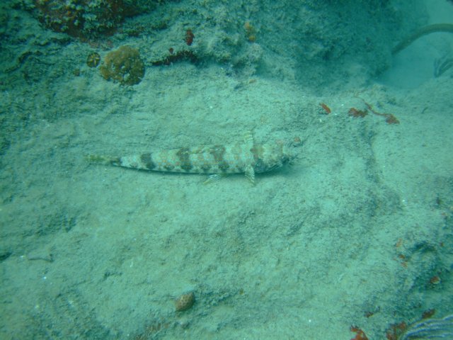 dscf2120.jpg